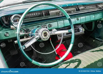 Catalina Safari